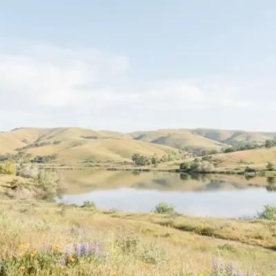 Exploring the Natural Beauty of Glenn County